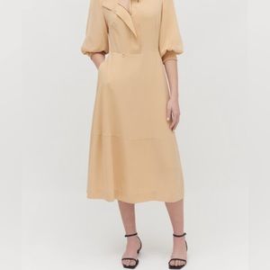 Cuyana washable silk funnel neck dress